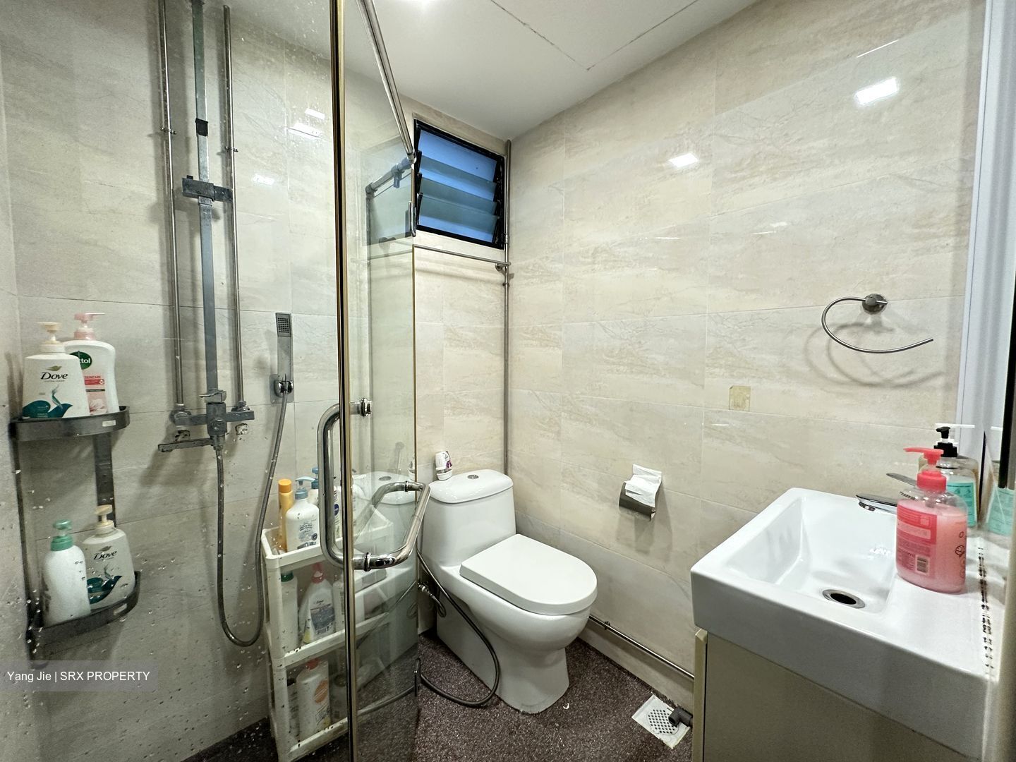 Simsville (D14), Condominium #500095731